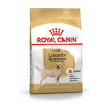 Royal Canin Adult Labrador Retriever dry dog food bag with gold and white packaging