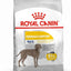 Royal Canin Maxi Dermacomfort hrana uscata caine, prevenirea iritatiilor pielii, 12 kg