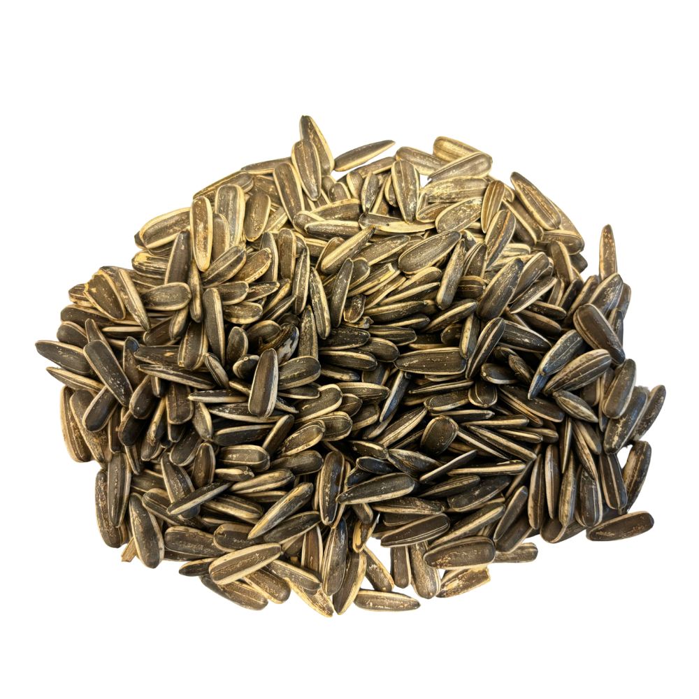 Floarea soarelui pestrita bob mare