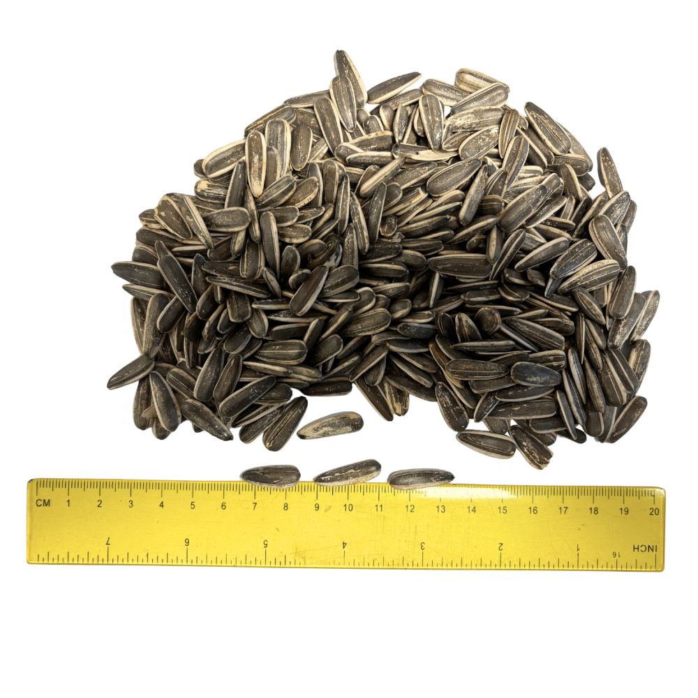 Floarea soarelui pestrita DalisPet