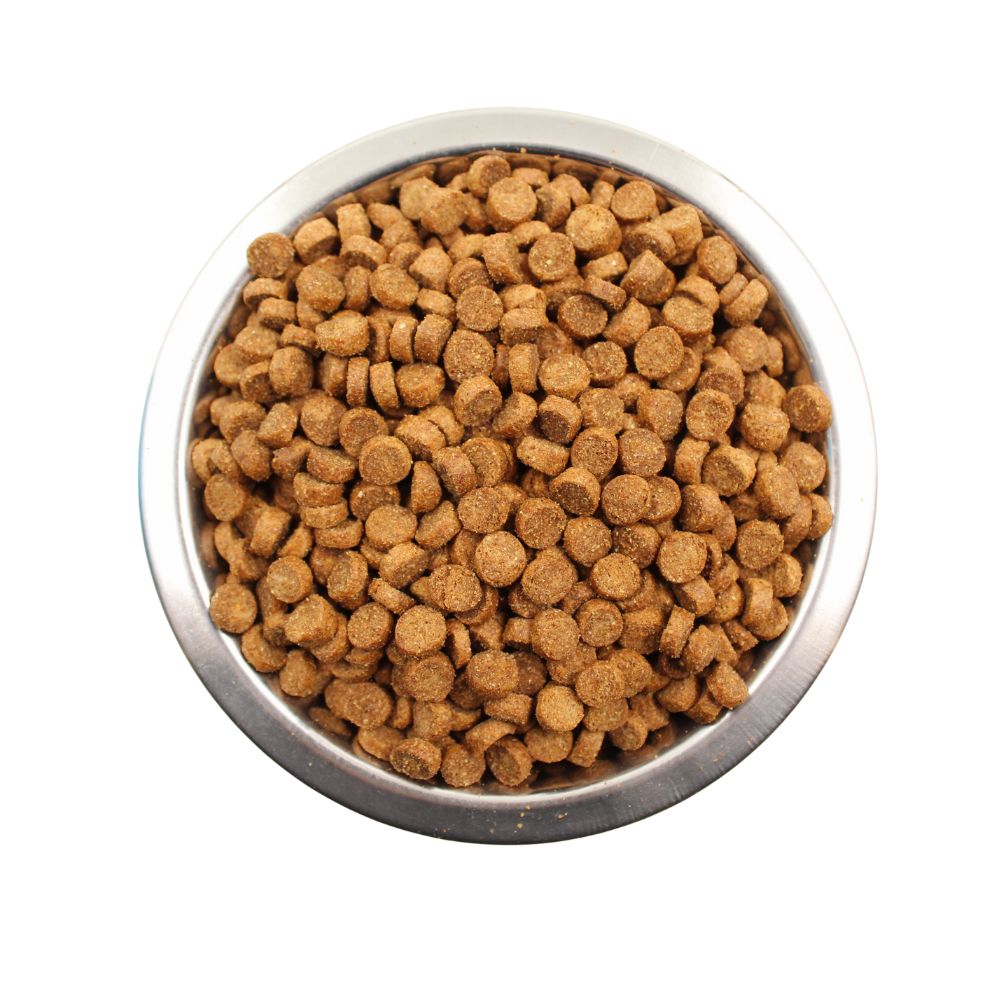 Cookie Special Menu Junior hrană completă căței