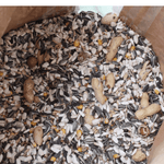 Mixed bird seed with sunflower seeds, peanuts in shells, and corn kernels in a paper bag