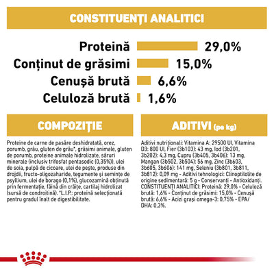 Royal Canin Bichon Frise Adult hrana uscata caine
