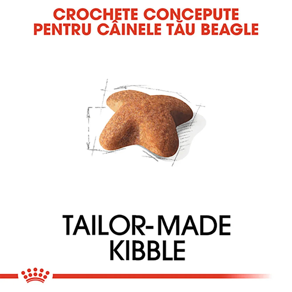 Tailor-made kibble designed for Beagle dogs with a unique shape and detailed sketch