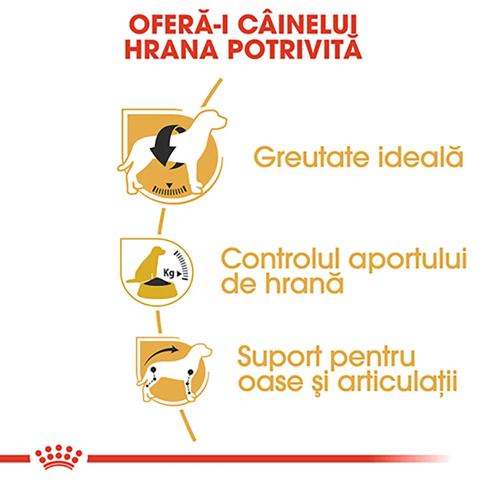 Infographic in Romanian showing benefits of proper dog food: ideal weight, food intake control, bone and joint support
