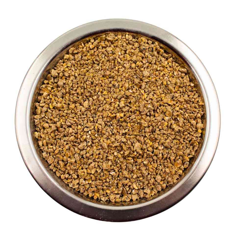 Evialis Furaj Starter Rațe și Gâște 5 kg DalisPet