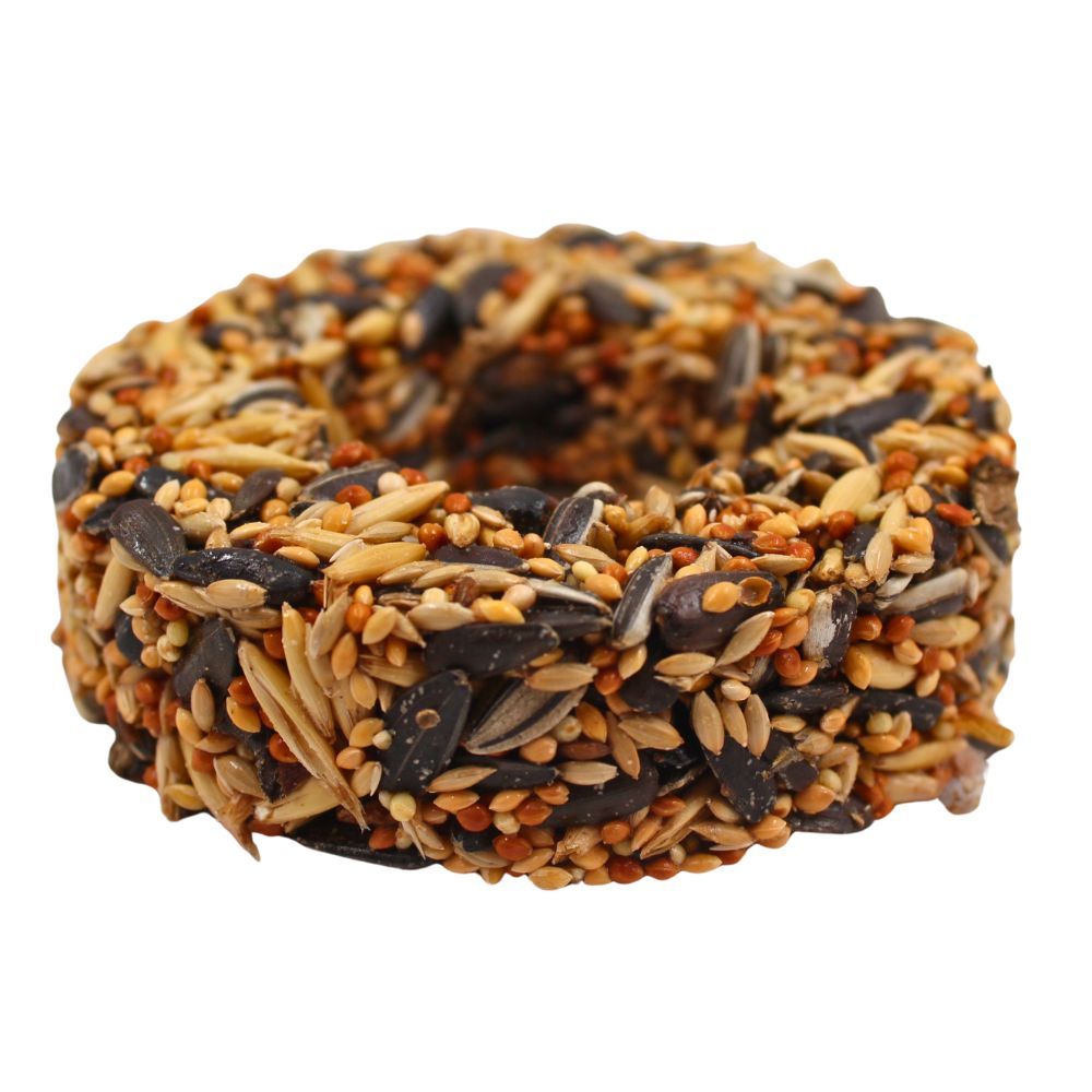 Panzi Inel cu semințe pentru peruși 60 gr Birdy DalisPet