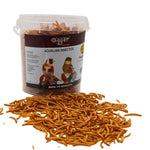 Bucket of Gowlan Acualian Insectos bird food with dried mealworms spilled on white surface