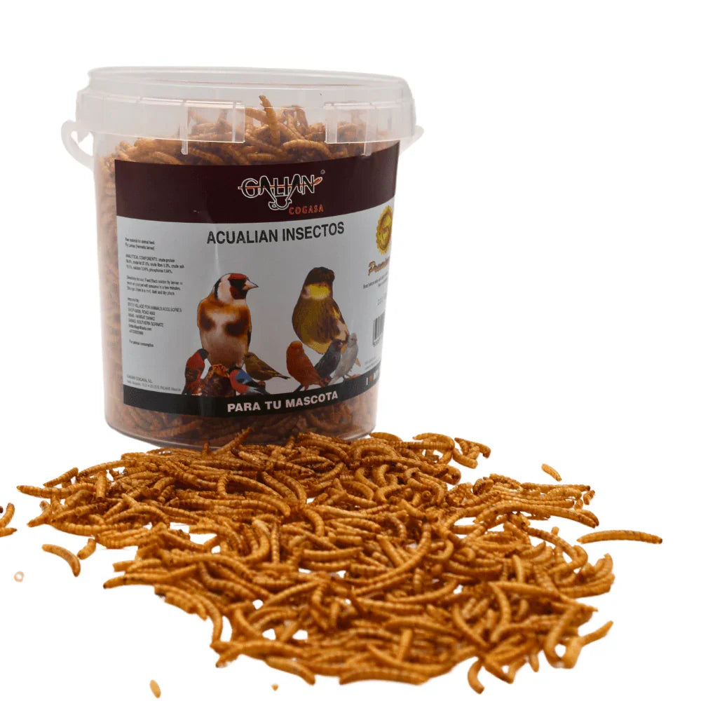 Bucket of Gowlan Acualian Insectos bird food with dried mealworms spilled on white surface