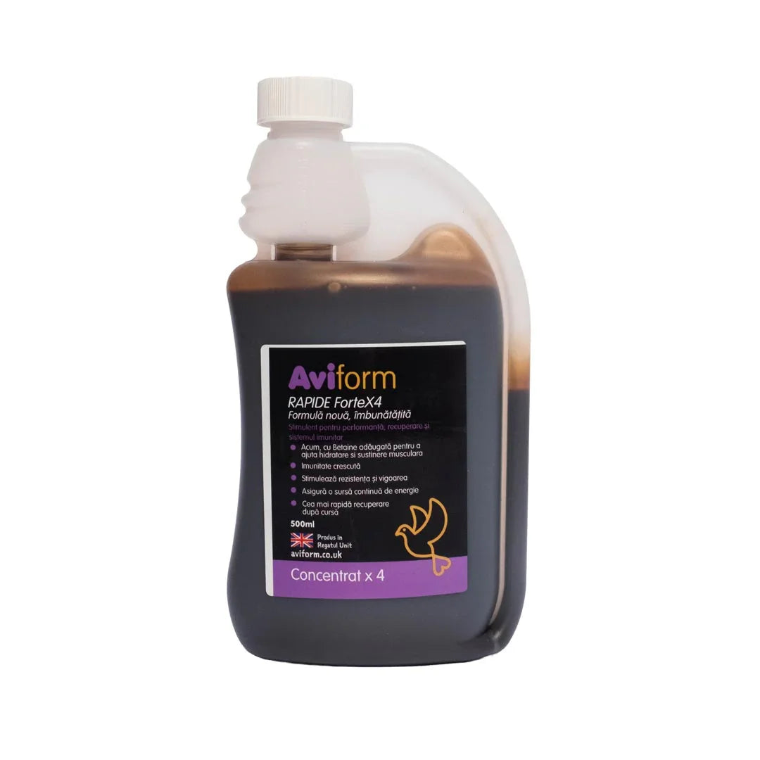 Aviform Rapide ForteX4 500ml concentrated supplement bottle for immune support and recovery