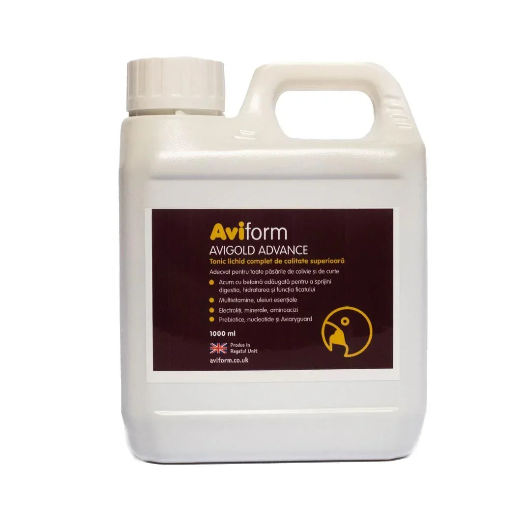 1-liter white plastic jug of Aviform Avigold Advance liquid tonic for birds with brown label