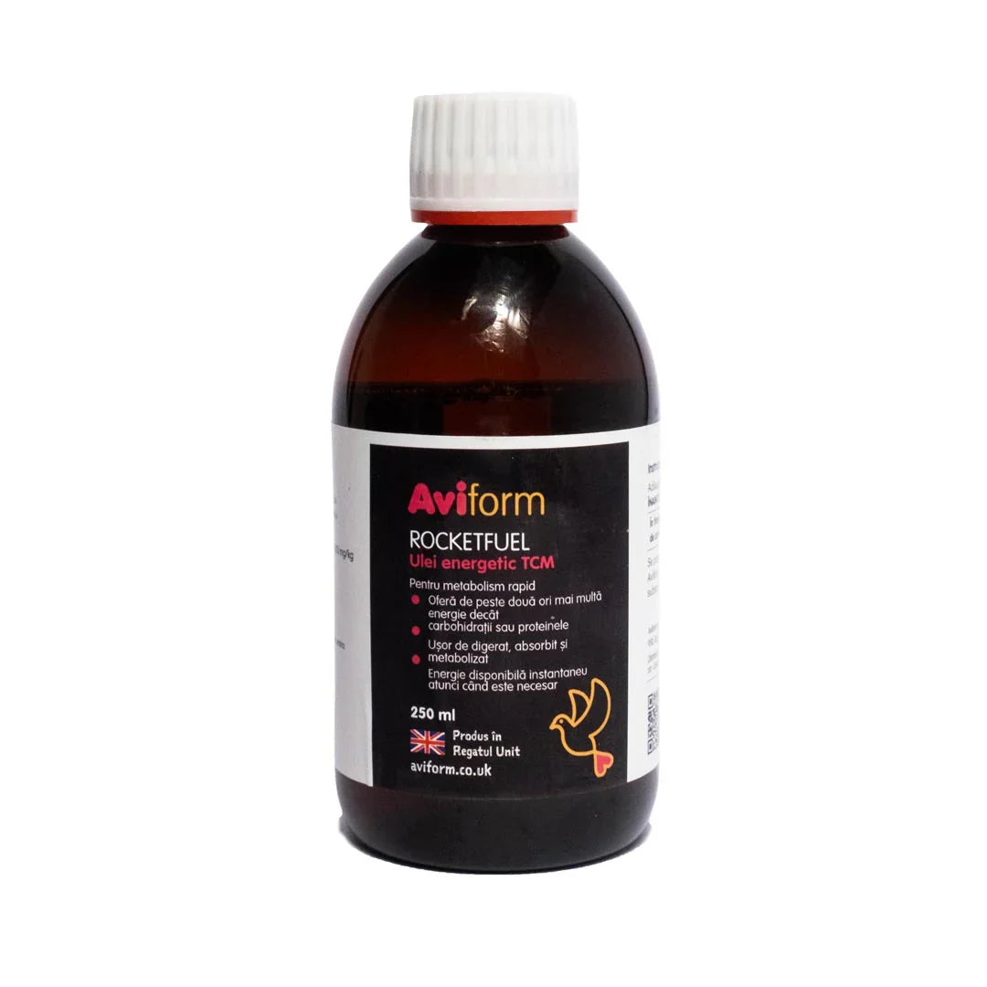 Aviform Rocketfuel 250ml energy oil bottle with white cap and black label featuring red and yellow text