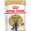 Royal Canin British Shorthair Adult hrana umeda pisica (in sos)