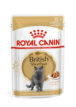 Royal Canin Adult British Shorthair cat food pouch with image of gray British Shorthair cat and kibble