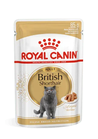 Royal Canin Adult British Shorthair cat food pouch with image of gray British Shorthair cat and kibble