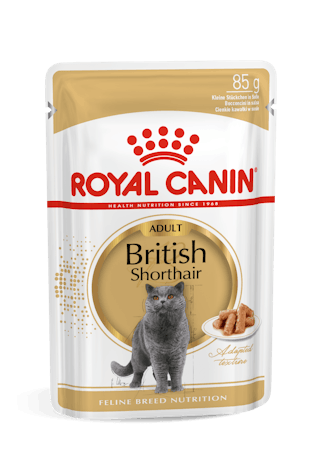 Royal Canin British Shorthair Adult hrana umeda pisica (in sos)