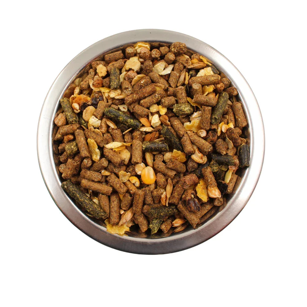 Equilannoo Junior Mix – Hrană completă pentru mânji și cai tineri (1–3 ani) 20 kg