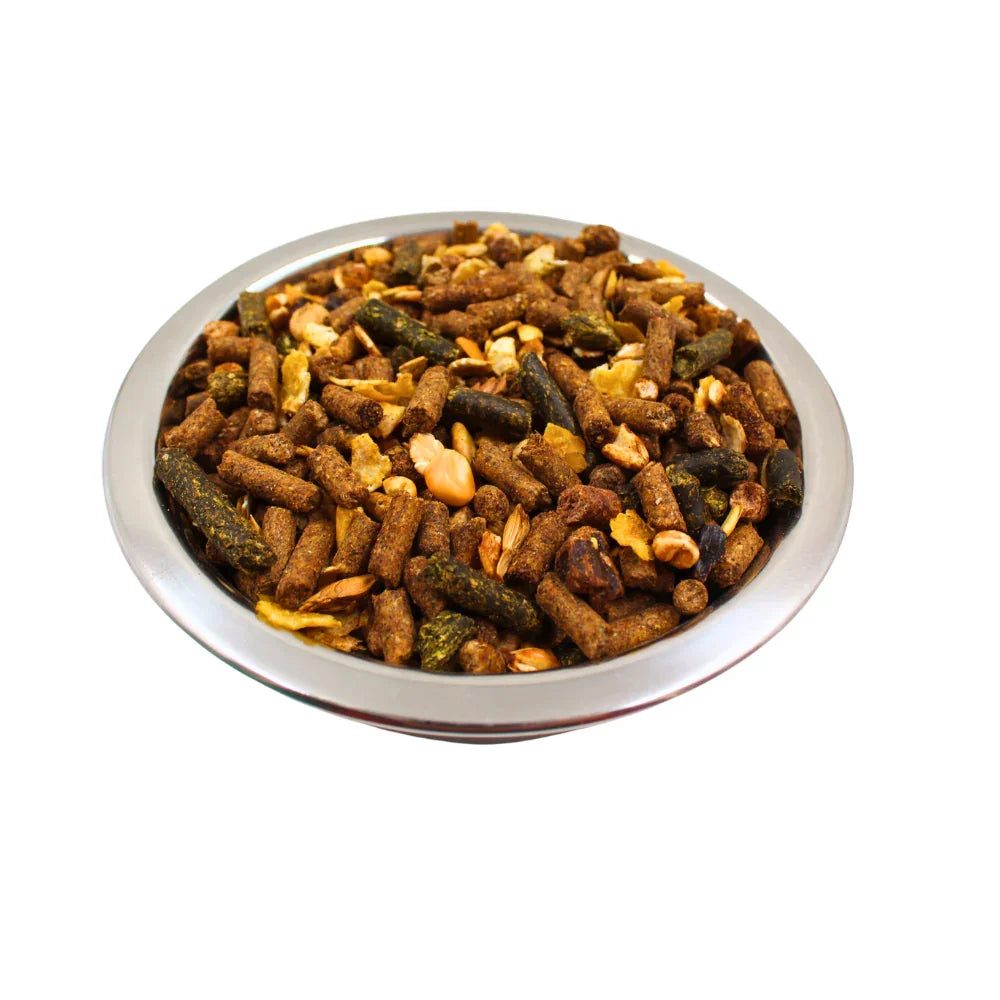 Metal bowl filled with mixed animal feed pellets and grains on white background
