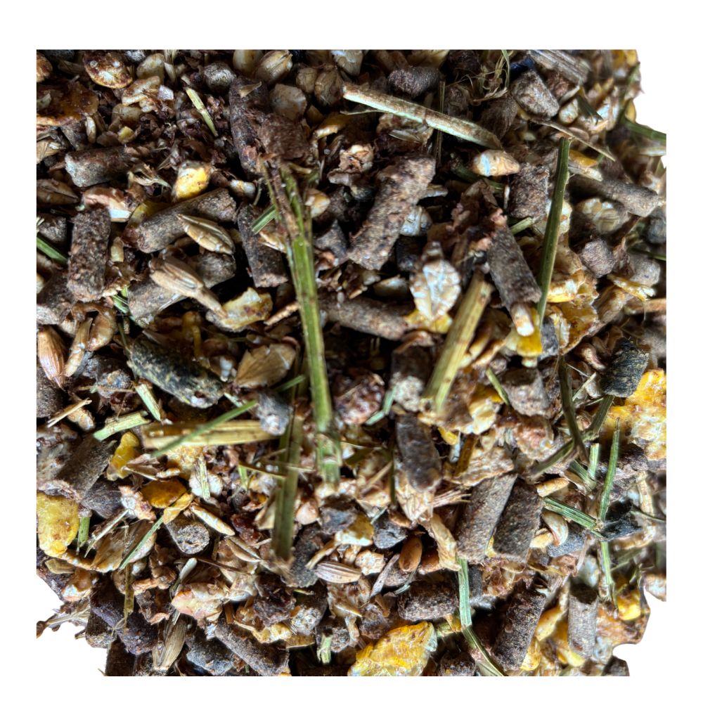 Amestec Sport Balancer Equilannoo – granule și cereale extrudate pentru cai