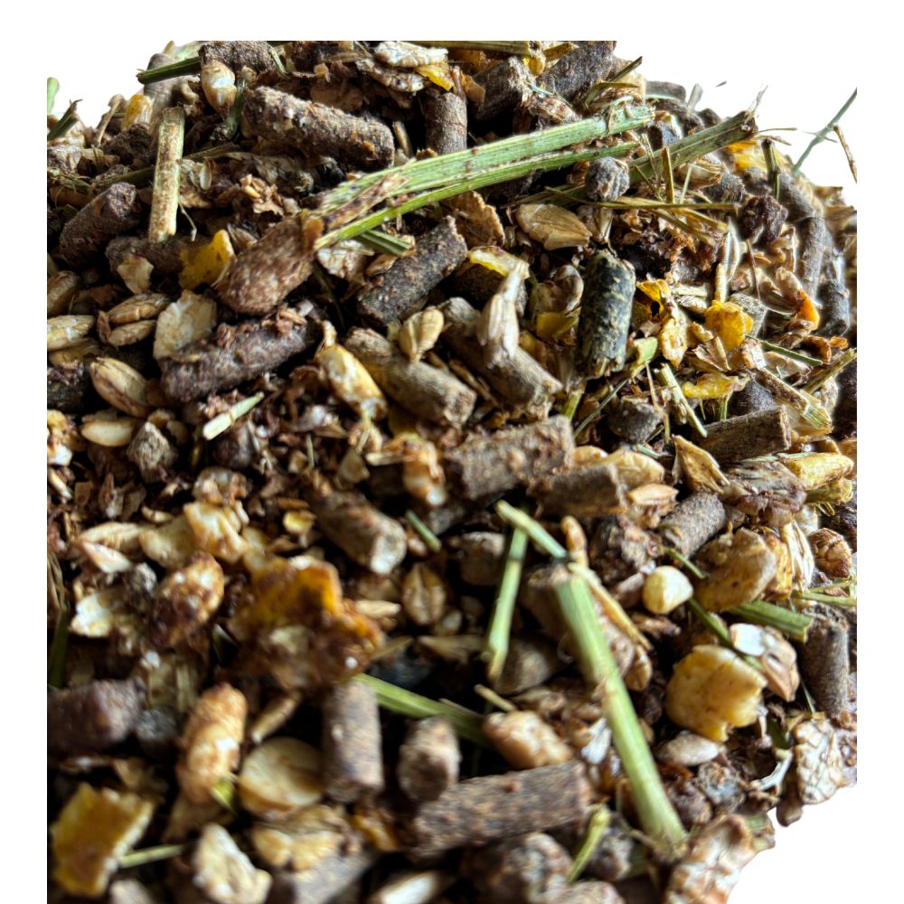 Detaliu amestec Sport Balancer Equilannoo – granule și cereale extrudate pentru cai