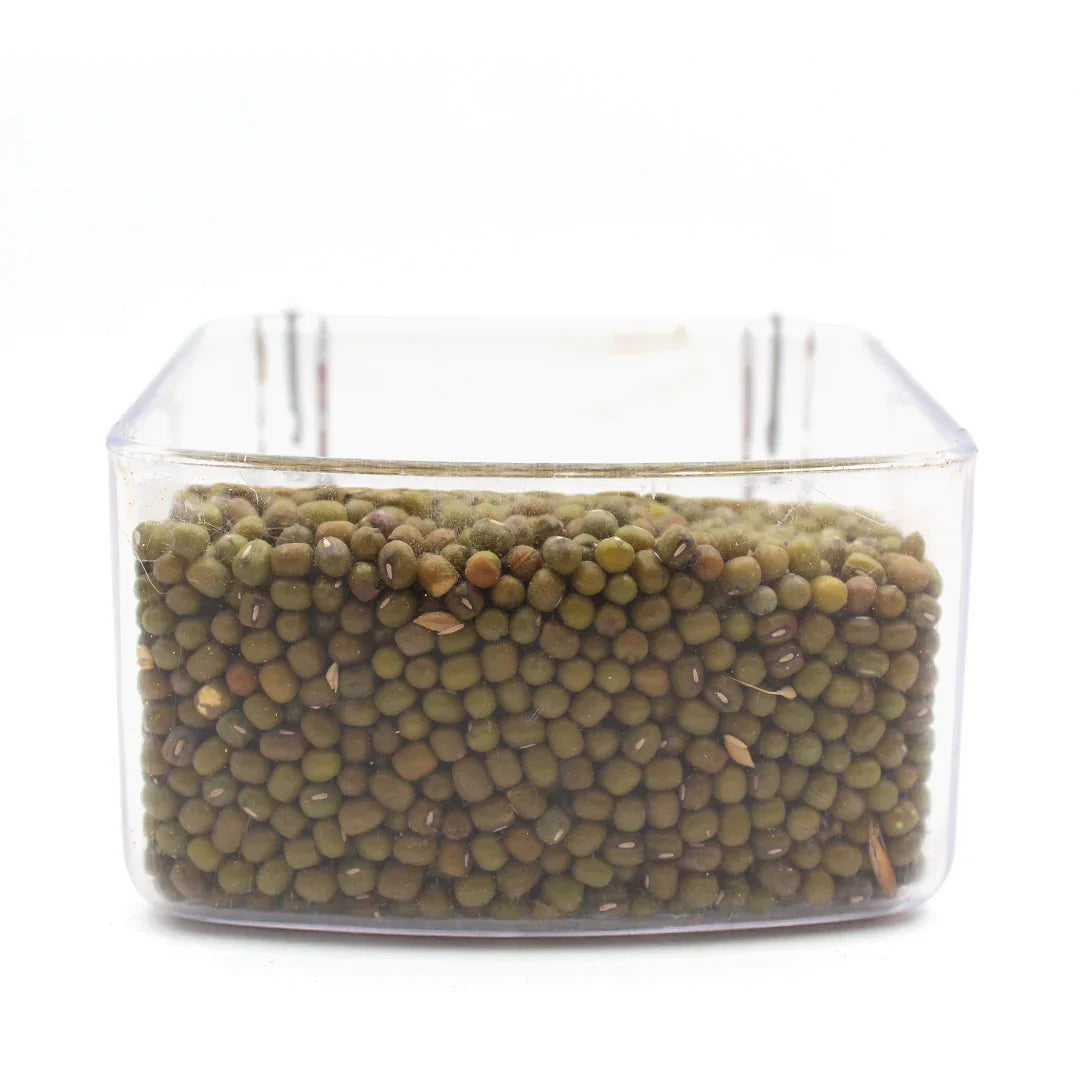 Clear plastic container filled with green mung beans against a white background