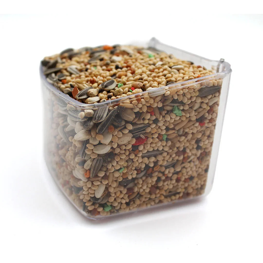Clear plastic container filled with premium bird seed mix including sunflower seeds and millet for parakeets and lovebirds