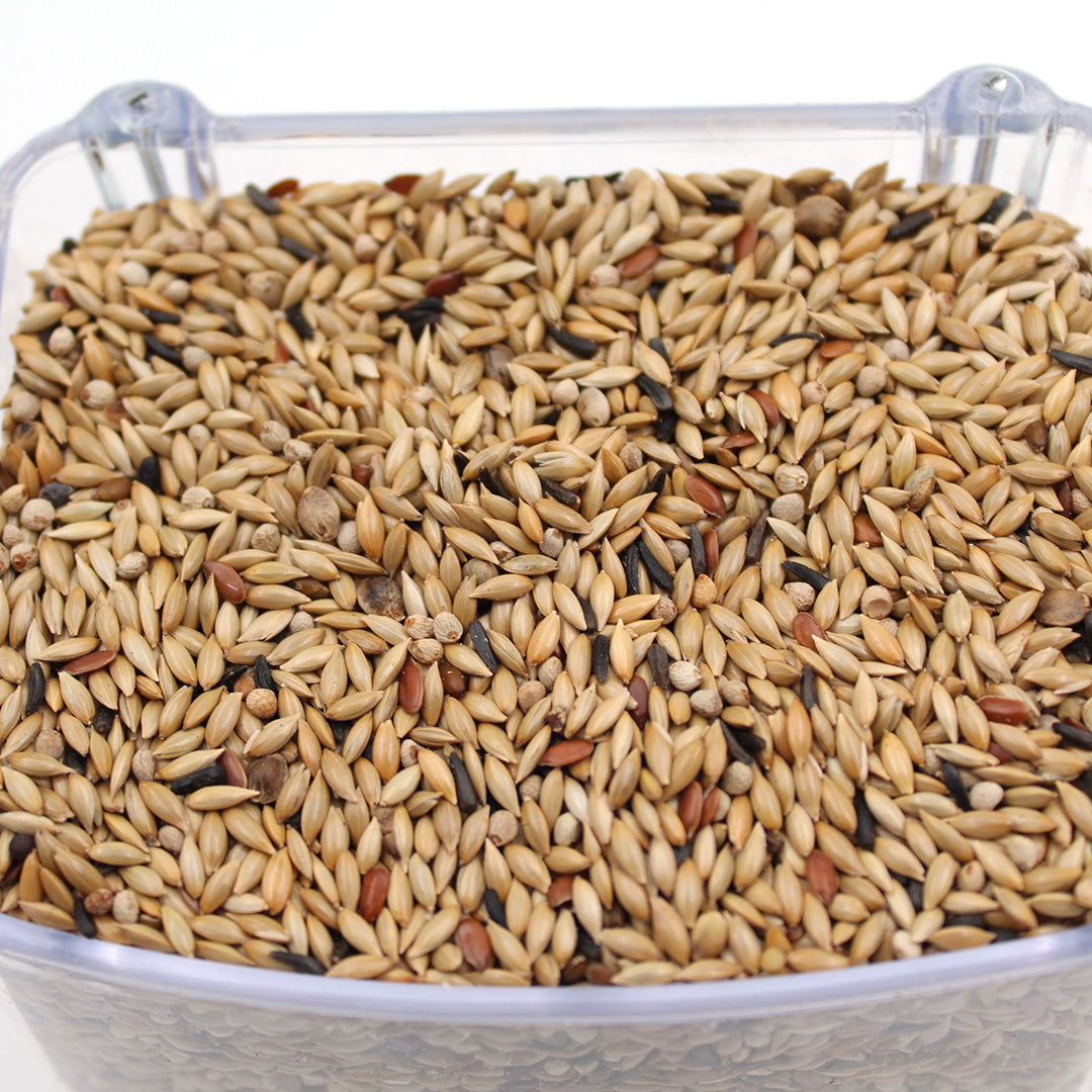 Amestec seminte naturale pentru canari Galian Profesional fara rapita