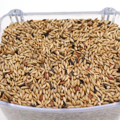 Amestec seminte naturale pentru canari Galian Profesional fara rapita