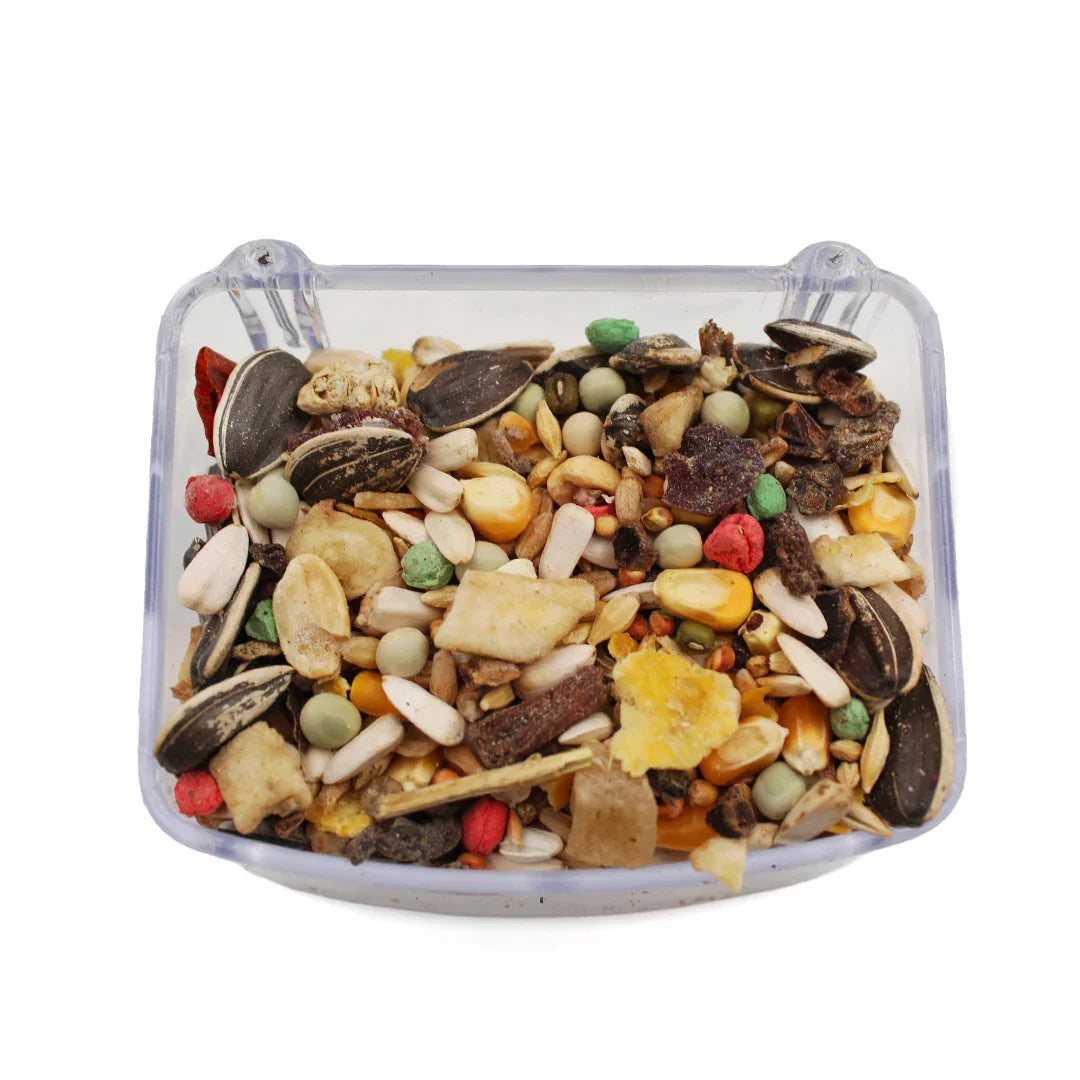 Galian hrana papagali mari - DalisPet