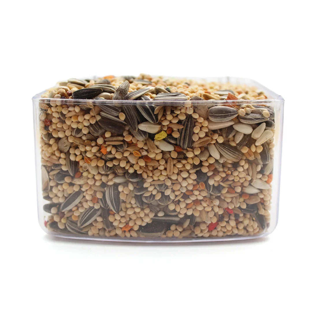 Close-up of a transparent container filled with mixed bird seeds including sunflower seeds and millet