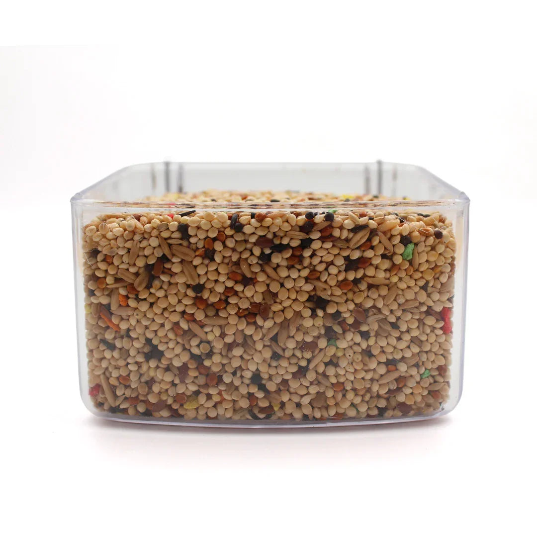 Clear rectangular container filled with mixed bird seed blend for pet birds