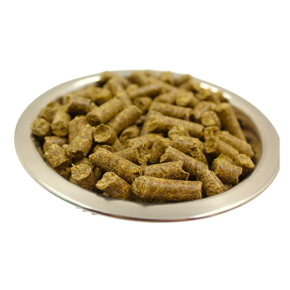 Equilanoo Gastro – furaj digestiv pentru cai și ponei sensibili, 20 kg DalisPet