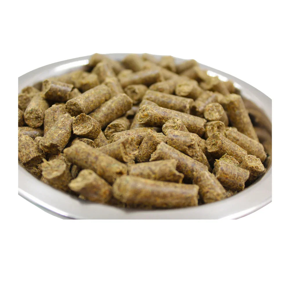 Equilanoo Gastro – furaj digestiv pentru cai și ponei sensibili, 20 kg