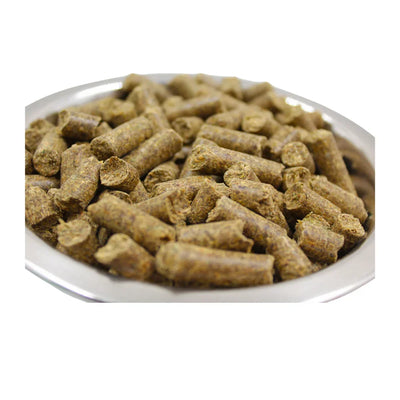 Equilanoo Gastro – furaj digestiv pentru cai și ponei sensibili, 20 kg