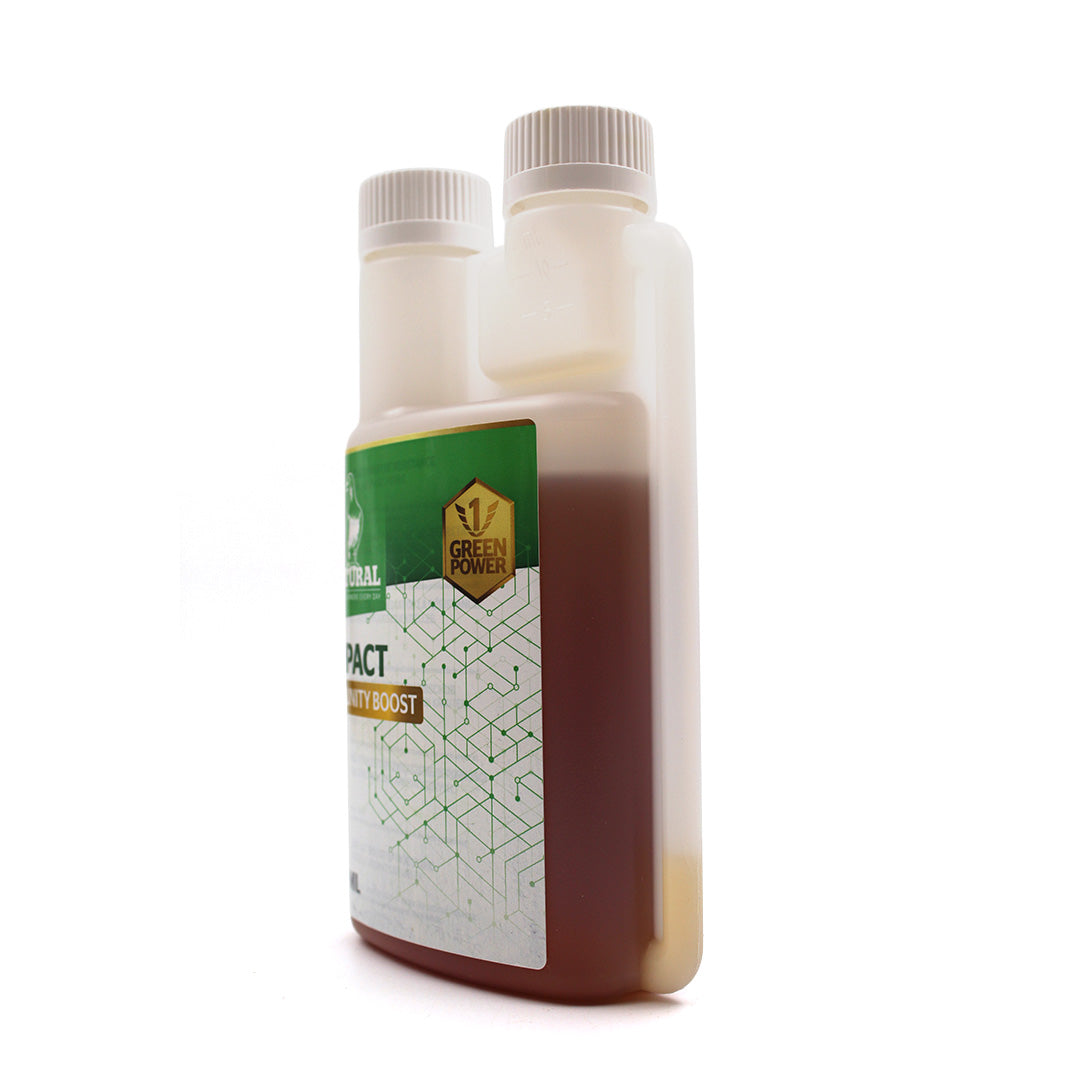 Natural Green Power Impact – susține imunitatea și vitalitatea porumbeilor