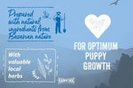 Ingrediente naturale Happy Dog NaturCroq Puppy – proteine și ierburi locale