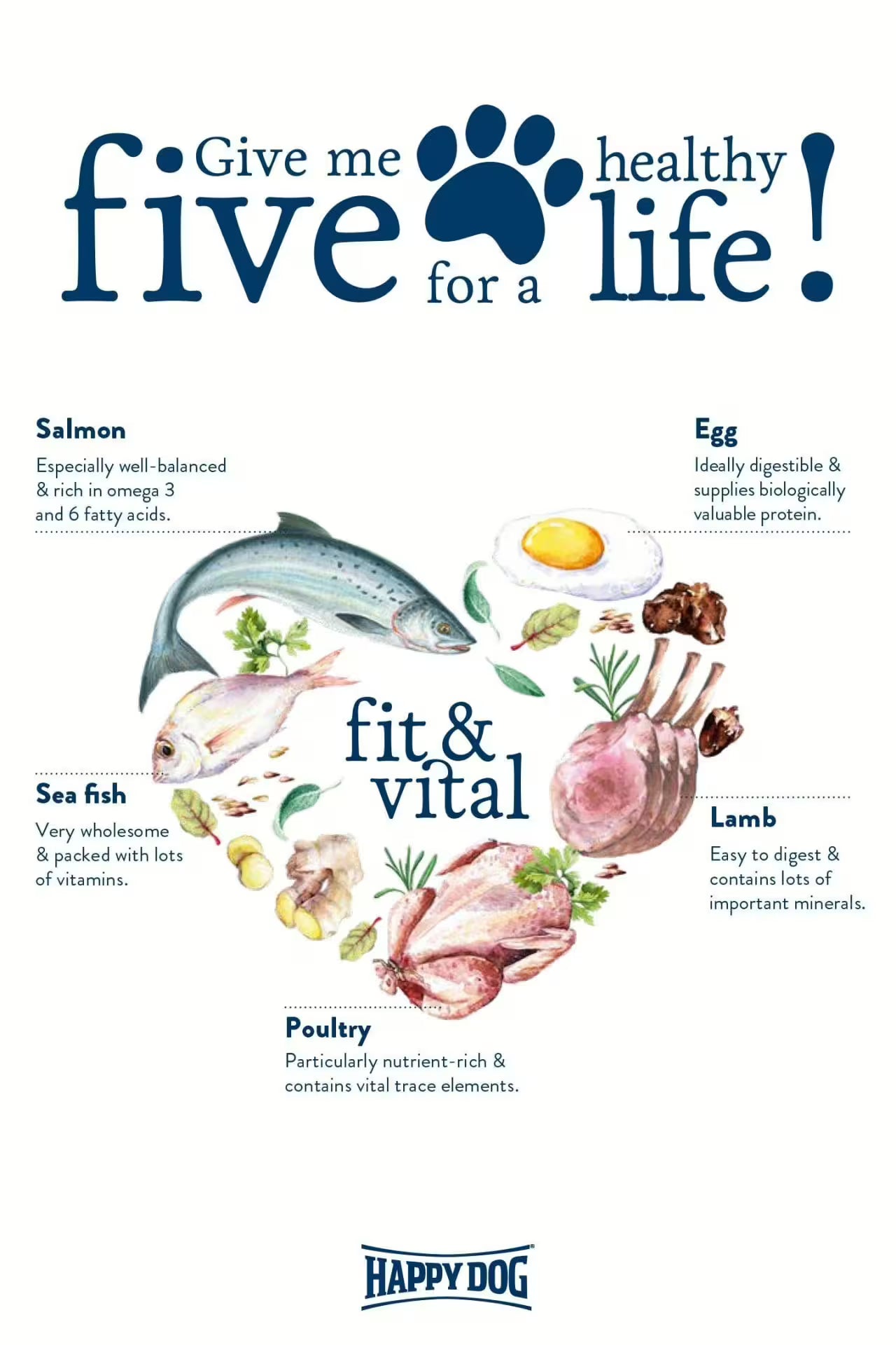 Crochete mici Happy Dog Mini Puppy – hrană uscată fără grâu pentru căței