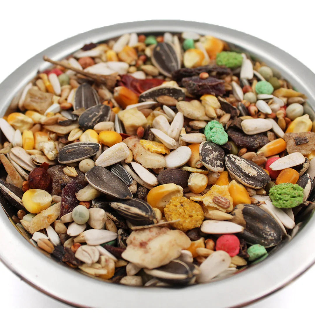 Galian mancare completa cu fructe uscate pentru papagali | DalisPet