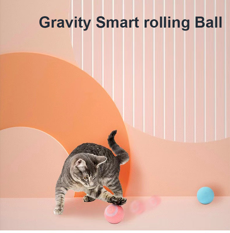 Jucarie Inteligenta Pet Gravity