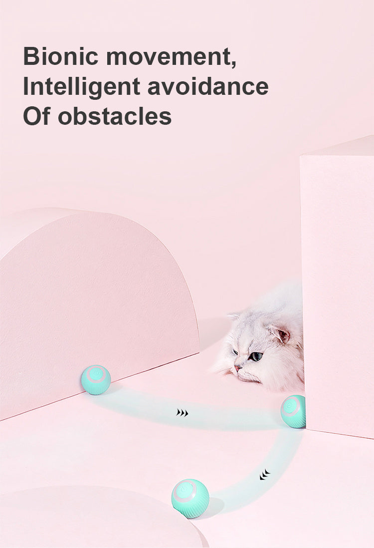 Jucarie Inteligenta Pet Gravity