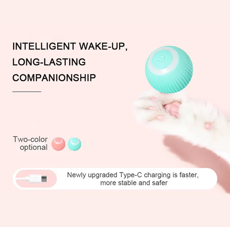 Jucarie Inteligenta Pet Gravity