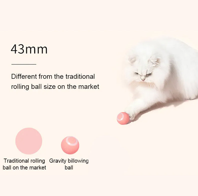 Jucarie Inteligenta Pet Gravity