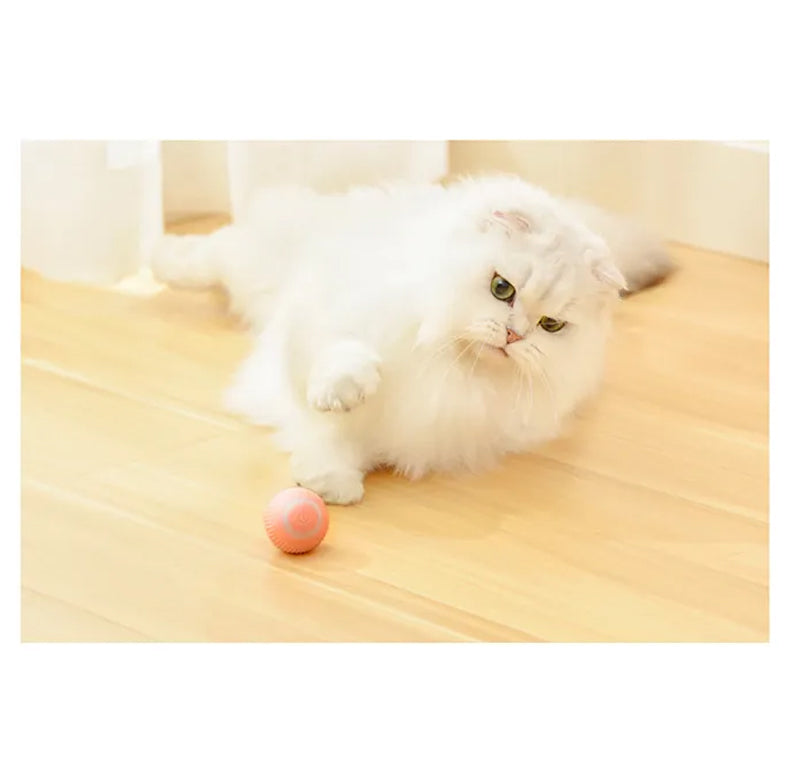 Jucarie Inteligenta Pet Gravity