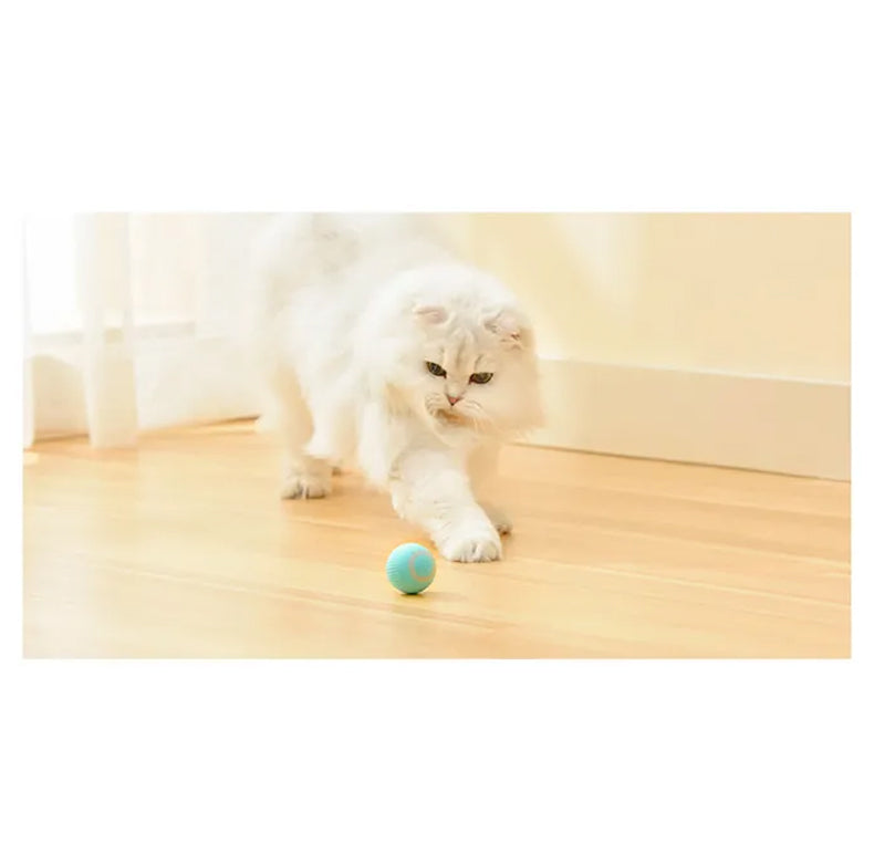 Jucarie Inteligenta Pet Gravity