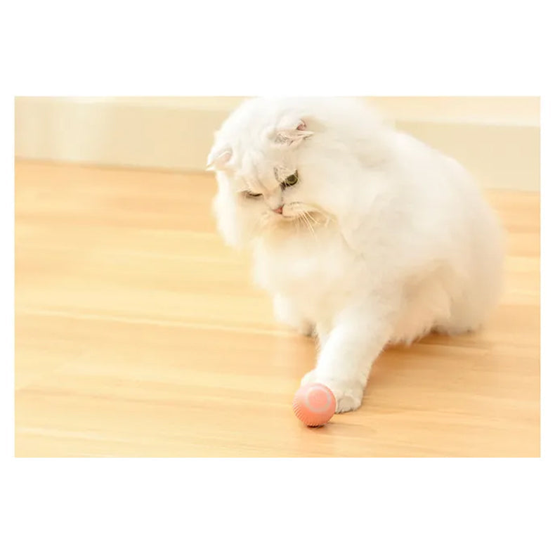 Jucarie Inteligenta Pet Gravity