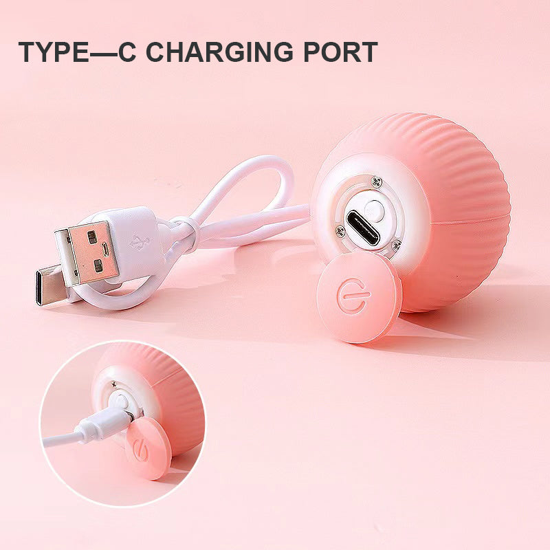 Jucarie Inteligenta Pet Gravity