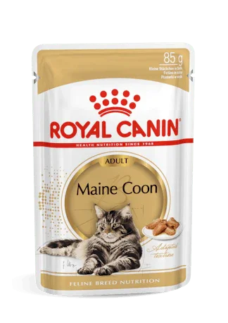Royal Canin Maine Coon adult cat food pouch with image of a relaxed adult Maine Coon cat