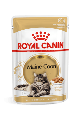 Royal Canin Maine Coon Adult hrana umeda pisica (in sos)