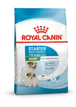 Royal Canin Starter Mini dog food bag for mother and babydog, 1-2 months, up to 10kg adult weight