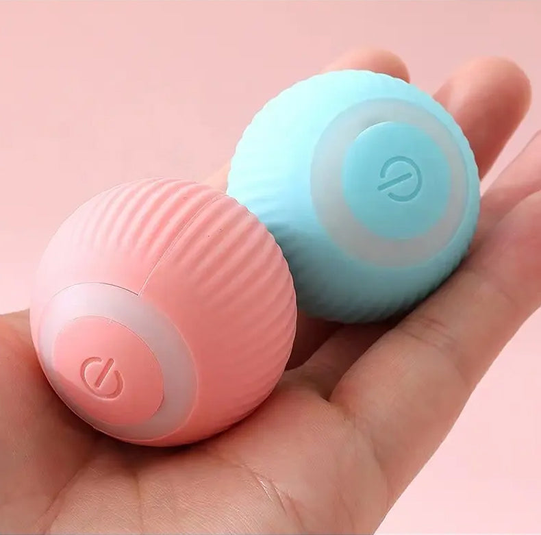 Jucarie Inteligenta Pet Gravity